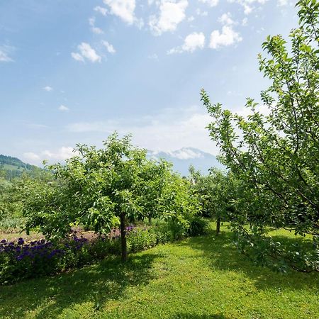 Apartmaji Trentelj Bled Dış mekan fotoğraf